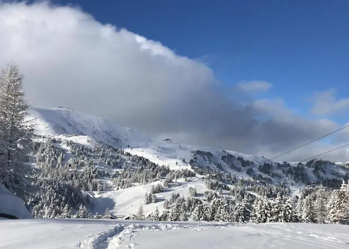 Turrach Chalet Haus Dachs