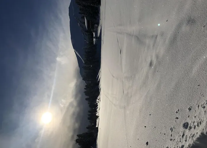 Turrach Chalet Haus Dachs