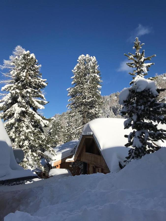 Turrach Haus Dachs